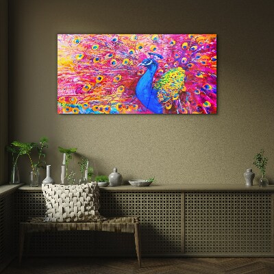 Foto op glas Een kleurrijke pauw in de lentegloed