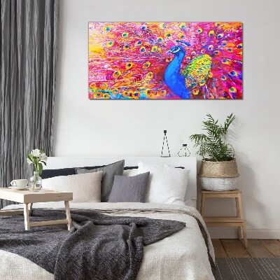 Foto op glas Een kleurrijke pauw in de lentegloed