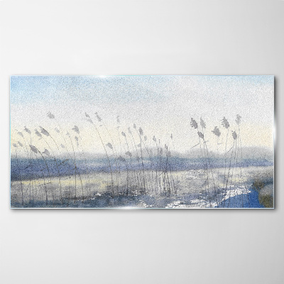 Foto op glas Een vredig landschap met grassen