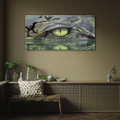 Foto op glas Kikkeroog in de weerspiegeling van het water