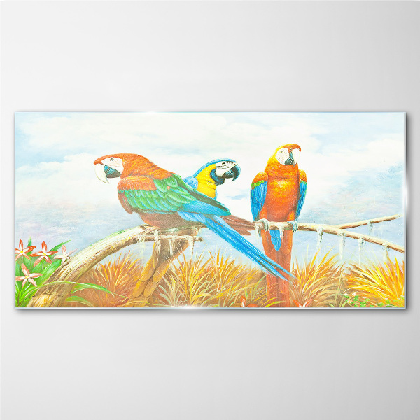 Glas foto Tropische papegaaien op een tak
