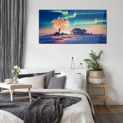 Foto op glas Een magische avond onder de sterren