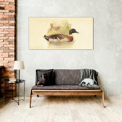 Schilderij op glas Eenden in het gras