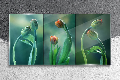 Foto op glas Tulpen in tinten groen