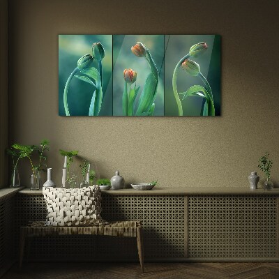 Foto op glas Tulpen in tinten groen