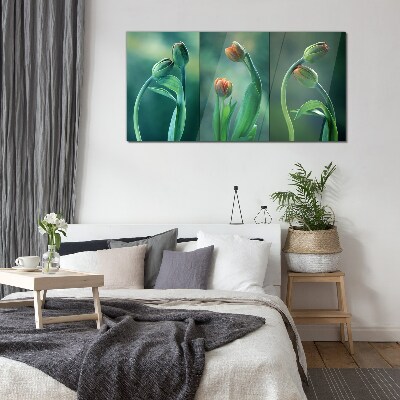 Foto op glas Tulpen in tinten groen