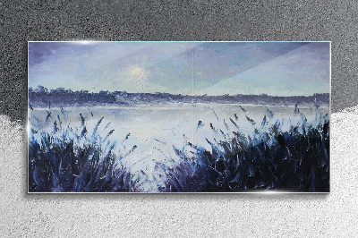 Foto op glas Een rustige ochtend aan het meer