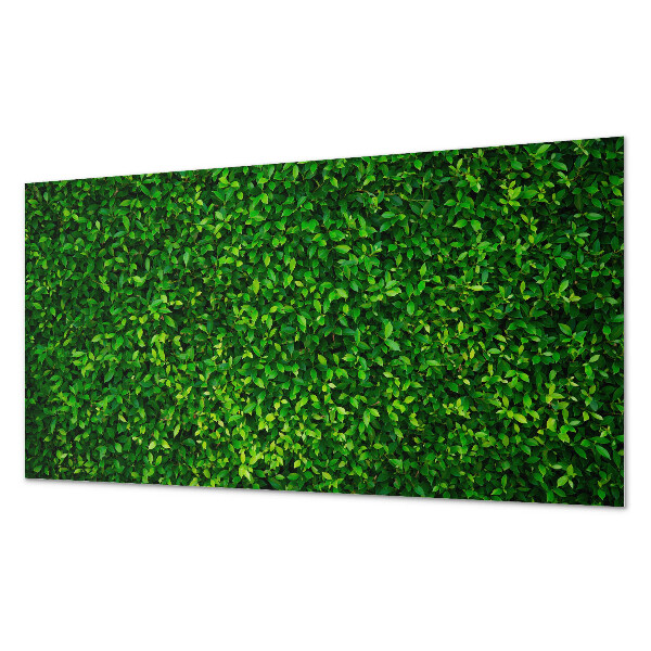 Pvc wandpaneel Een dichte muur van bladeren