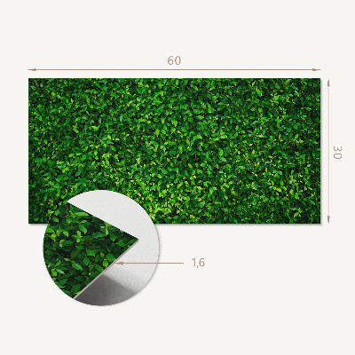 Pvc wandpaneel Een dichte muur van bladeren