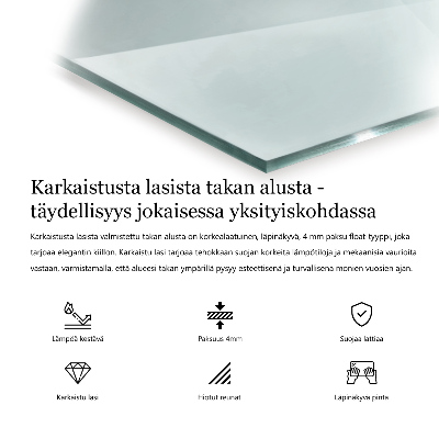 Vloerplaat voor kachel transparante prostokątna