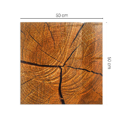 Onderplaat kachel rechthoekige Een dwarsdoorsnedepatroon van hout met een duidelijke nerf