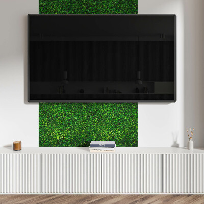 Wandbekleding vinyl Groene muur van vegetatie