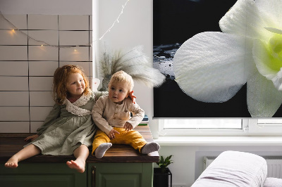 Rolgordijn voor het raam Orchideeën
