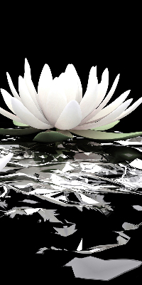 Rolgordijn verduisterend Waterlelies