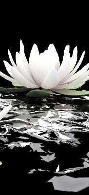 Rolgordijn verduisterend Waterlelies