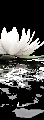 Rolgordijn verduisterend Waterlelies