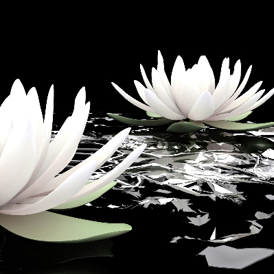 Rolgordijn verduisterend Waterlelies