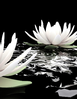 Rolgordijn verduisterend Waterlelies