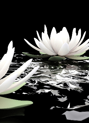 Rolgordijn verduisterend Waterlelies