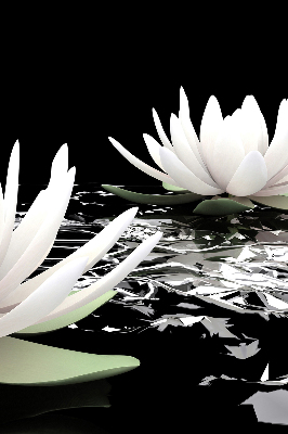 Rolgordijn verduisterend Waterlelies