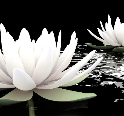 Rolgordijn verduisterend Waterlelies