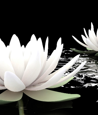 Rolgordijn verduisterend Waterlelies