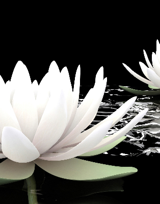 Rolgordijn verduisterend Waterlelies