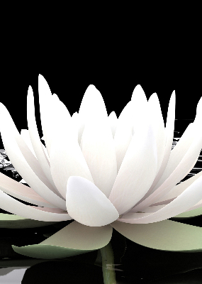 Rolgordijn verduisterend Waterlelies