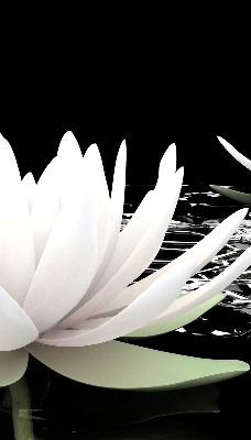 Rolgordijn verduisterend Waterlelies