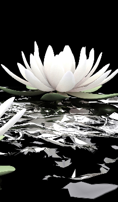 Rolgordijn verduisterend Waterlelies