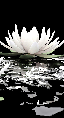 Rolgordijn verduisterend Waterlelies