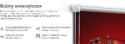 Rolgordijn voor het raam Rode appel in water