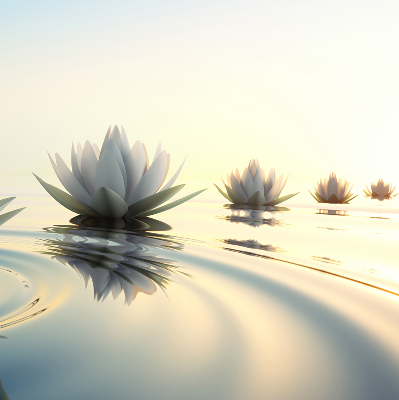 Rolgordijn verduisterend Waterlelies