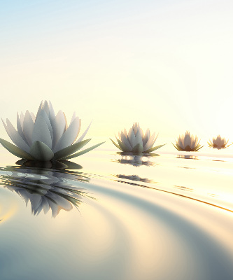 Rolgordijn verduisterend Waterlelies