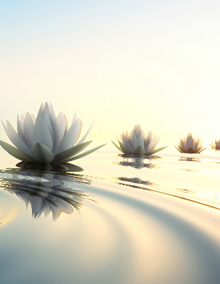 Rolgordijn verduisterend Waterlelies