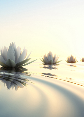 Rolgordijn verduisterend Waterlelies