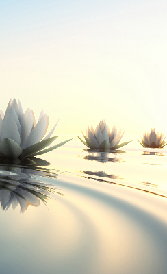 Rolgordijn verduisterend Waterlelies