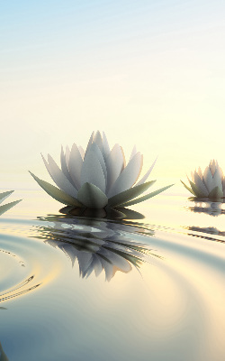 Rolgordijn verduisterend Waterlelies