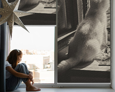 Rolgordijn voor het raam Katten in het raam
