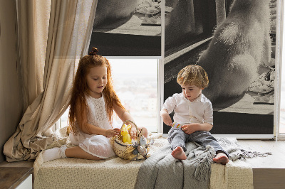 Rolgordijn voor het raam Katten in het raam