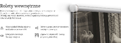 Rolgordijn voor het raam Katten in het raam