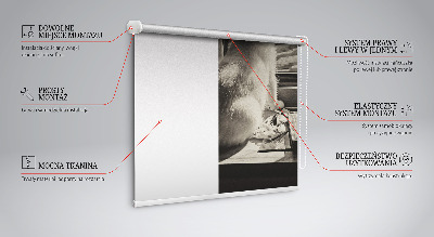 Rolgordijn voor het raam Katten in het raam