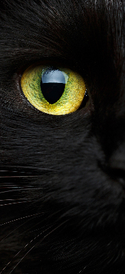 Rolgordijn verduisterend Kattenogen