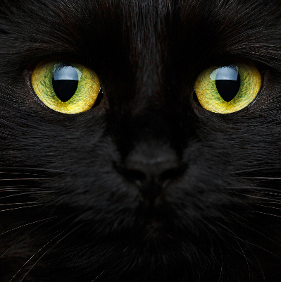 Rolgordijn verduisterend Kattenogen