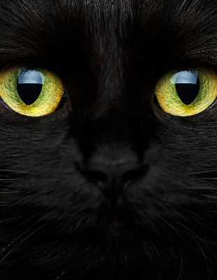 Rolgordijn verduisterend Kattenogen