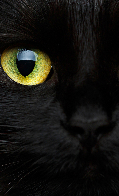 Rolgordijn verduisterend Kattenogen