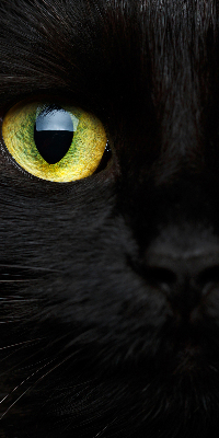 Rolgordijn verduisterend Kattenogen