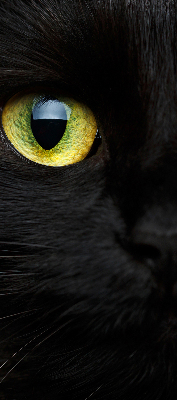 Rolgordijn verduisterend Kattenogen