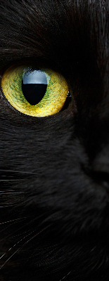 Rolgordijn verduisterend Kattenogen