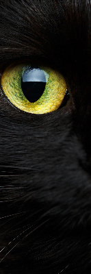 Rolgordijn verduisterend Kattenogen